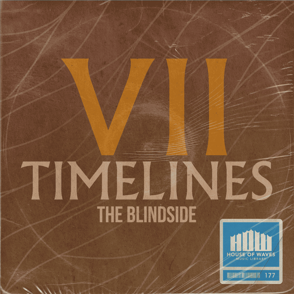 Timelines VII
